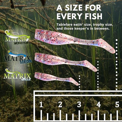 Fishing Lures for Speckled Trout, Redfish, Bass - Louisiana Paddle Tail Swimbaits for Freshwater and Saltwater - color: Pink Champagne