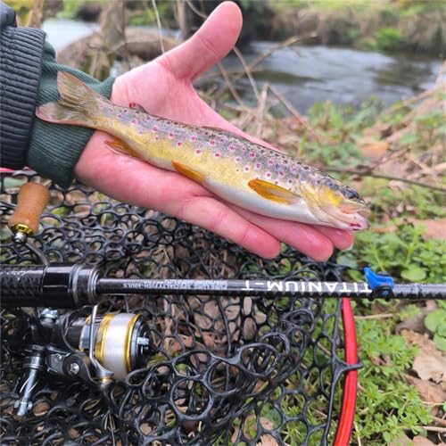 PURELURE Titanium-T Ultralight Fishing Rod Spinning & Casting for Trout Panfish, Carbon Fiber BFS Rod 2Pcs, Titanium Tip & Guides, Cork Handle, 5-6ft Stream Rod XUL Power, Fast/Moderate Fast Action - size: Spin: 722uls- Ultralight - M Fast
