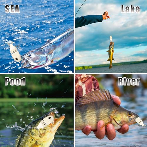 2Pcs Mini Glide Bait for Bass Fishing,Slow Sinking Fishing Lure,Freshwater Saltwater Multi Jointed Swimbait Wobbler,for Amazing Fishing Gear Gifts for Family - color: White