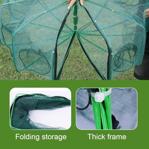 The Magic Foldable Fishing Trap, Folding Fishing Net，2024 Upgrade Auto-Foldable Strengthened Fishing Trap Net, Minnow Traps for Bait Fish，Fish Traps，Crawfish Trap，Minnow Trap - color: 16Holes