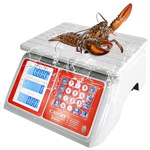 CAMRY Waterproof Commercial Food Scale, 66lb/30kg, Price Computing | IPX7 Stainless Steel Platform; Rechargeable Battery; Dual LCD Display; KG/LB Conversion; For Seafood and Farmers Market