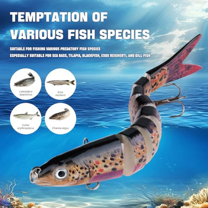 TSKS Fishing Artificial Lures Kit Mixed Including Front Diving Fin Minnow Surface Popper Crank Baits Pencil VIB with Hook and Soft Lures Accessories for Saltwater Freshwater Trout Bass Tackle Gift Set - color: 36pcs