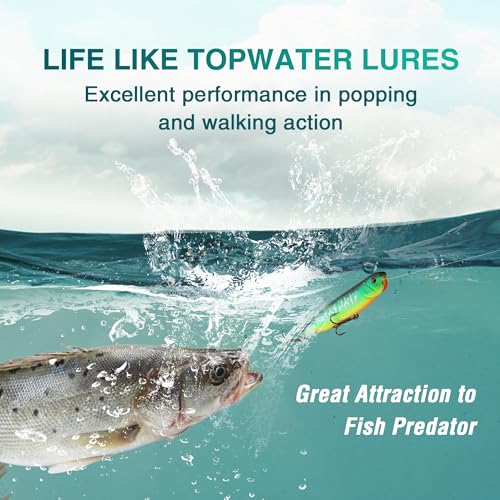 FLISSA 5PCS Top Water Fishing Lures Kits, Bass Fishing Lures for Freshwater & Saltwater, Realistic Hard Bait, Popper Fishing Lure with Treble Hooks for Trout, Bass, Salmon, Walleye Fishing