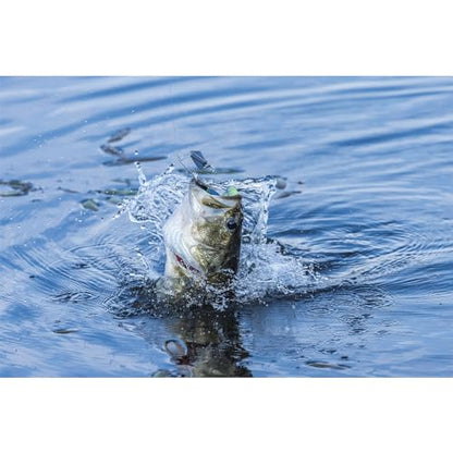 BUCKEYE LURES G-Buzz Single Bladed Buzzbait - Durable Fish-Catching Topwater Lure for Bass Fishing - color: Black w/Black, size: 1/2