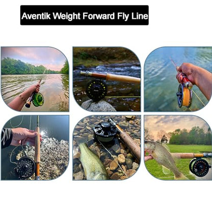 EUPHNG All-Purpose Fly Line Floating Trout Fishing Line Welded Loop Line ID Weight Forward Fly Fishing Line 100FT - color: Sky Blue, size: WF3F
