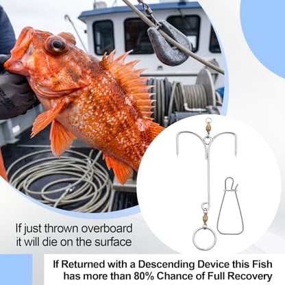 Outus Fish Descending Return Device Set, 4 Pcs Dual-Function Fishing Combo with 2 Sets 304 Stainless Steel Fish Stringers for Deep Sea Offshore Saltwater Fishing
