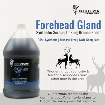 Buck Fever Forehead Gland – Syntheticly Formulated Buck Lure & Deer Attractant (not just Limited to Whitetail Deer) for Mock Scrapes, Licking Branches - Year-Round Hunting Scents - size: 1 Gallon