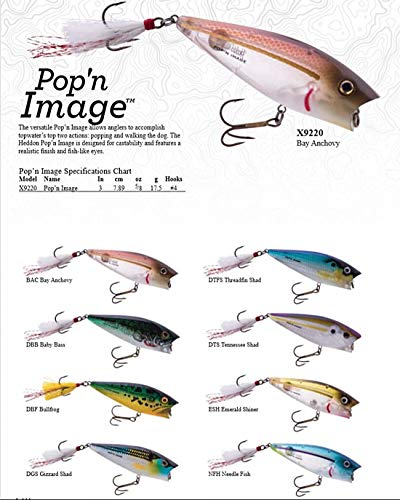 Heddon Pop'N Image Topwater Fishing Lure - Excellent Popping and Walk-The-Dog Action - color: Tennessee Shad