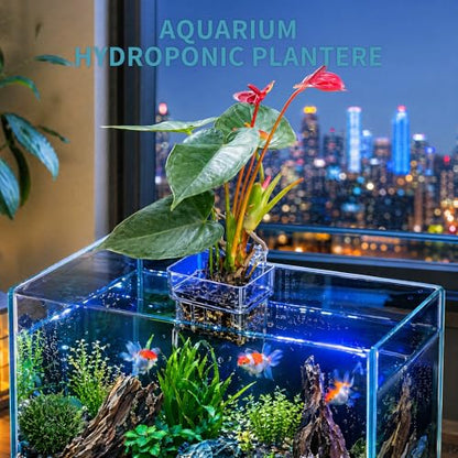 12 Pack Clear Aquarium Plant Holder Top Hanging for Fish Tank, Aquariums Planter Basket Pots for Aquatic Plants