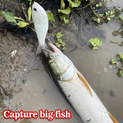HADORAM Lure Slow Sinking Glide Bait with Fur Tail Lifelike Fishing Tackle for Trout Shad Bass Musky - color: Color White