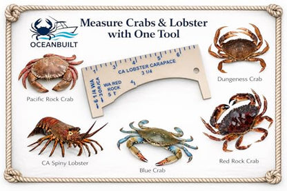 Crab & Shellfish Gauge – Blue Crab, Stone Crab, Lobster & Dungeness Measuring Tool – Recreational Fishing Size Gauge – Multiple Regulation Options - style: West Coast Crab Gauge (CA / WA / OR)