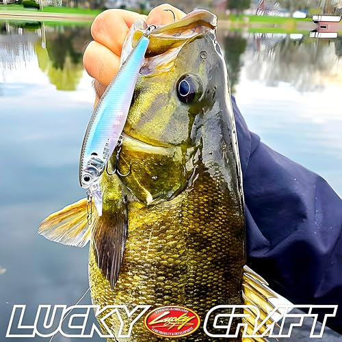 LUCKY CRAFT Pointer 100SP, Jerkbait Side by Side Action Tournament Winning Perfect Wobbling Freshwater Lake Bass Fishing Champion Bait - color: 818 Live Pearl Wakasagi