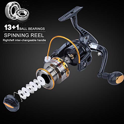 Sougayilang Fishing Rod Reel Combos Carbon Fiber Telescopic Fishing pole with Spinning Reel for Travel Saltwater Freshwater Fishing - color: Fishing Full Kits with Carrier Case, size: 7.87 ft