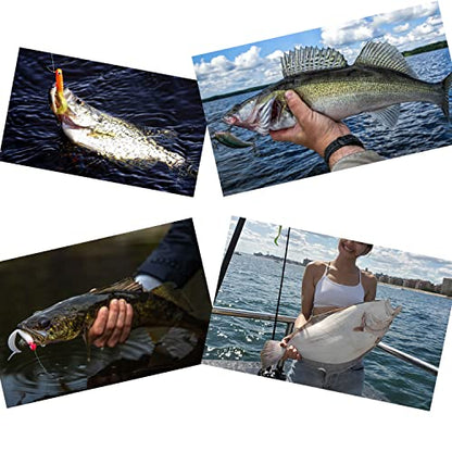 Carolina Rigs for Fishing- 12 Inch Steel Fishing Leaders with Fishing Weight, Pre Rigged Carolina Rigs with Fishing Weight 1/6oz, 1/4oz, 1/2oz, 10 Pcs - size: 1/2 oz; 12 Inch