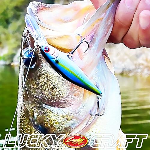 LUCKY CRAFT Pointer 78DD Freshwater Fishing Lure and Gear for Bass & Trout, 3 inch Deep Diving Suspending Jerkbait Fishing Line, Pressure-Ready Fish Bait, Premium Gear for Tackle Box, - color: 270 MS American Shad
