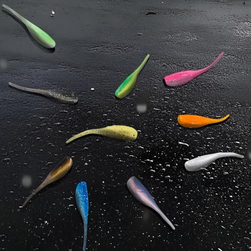 Crappie Lures Soft Plastic Baits Fishing Lures FS/RE-02 | Natural swimming action, soft plastic, 10 condition-matched colors, bulk pack for crappie bass catfish - style: 100pcs