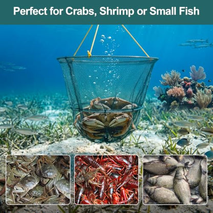DONQL Double Ring Crab Trap, Small Collapsible Crab Nets with 39ft Rope, Built‑in Weight, Bait Bag, Ruler, Portable Crabbing Equipment Pots for Dock & Pier Crabbing Blue Crabs Dungeness Rock