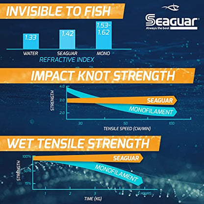 Seaguar InvizX Multi-Species Fishing Line for Casting, Live Bait, Freshwater, 100% Fluorocarbon, Clear, Multiple Sizes - size: 12lbs/1000yds