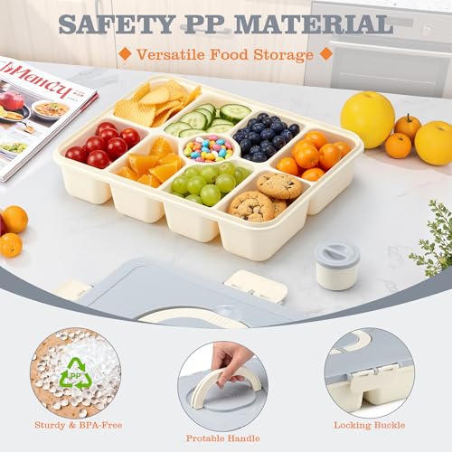Snackle Box Container, Divided Serving Tray with Lid and Handle, 9 Compartments Snack Box Container for Adults, Portable Charcuterie Serving Platter for Candy Fruit, 9.9 Cups, White Grey - color: White Grey