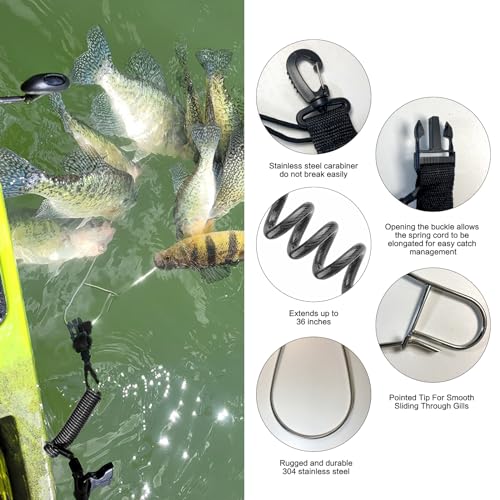 Fish Stringer Clip Large, Fishing Stringer Carry Multiple Large Fish, Quick Release 78”Steel Core Lanyard, Designed for Spearfishing, Kayak Fishing & Scuba Diving, Stainless - style: 2 Pack