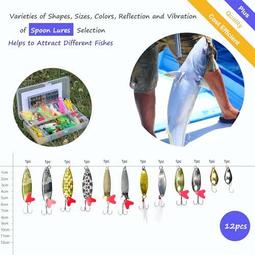 EXAURAFELIS Fishing Lures,Tackle Box with Tackle Included, Crankbaits, Spoon, Shrimp Worm Bait, Hooks,Weights & Other Accessories, Fishing Lures kit Lure Set for Bass Trout Salmon - color: Black-399pcs