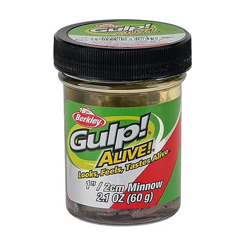Berkley Gulp! Alive! Minnow Fishing Soft Bait - color: Rainbow Trout, size: 1in - Jar