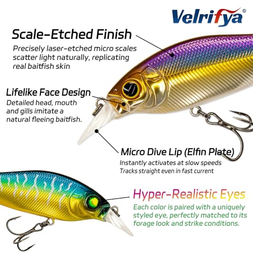 Flat Sided Japanese-Style Crankbait Elfin Shad – Medium Diving Bass Fishing Lure, Hard Bait Shad Crankbait for Freshwater Velrifya - color: 04-Ghost Shad