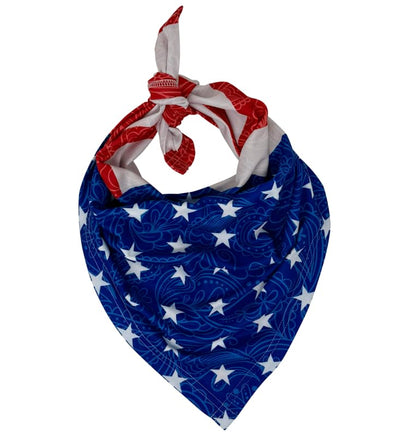 CoolNES - Cooling Bandana Adjustable Cools Instantly When Wet UPF 50 - color: Usa