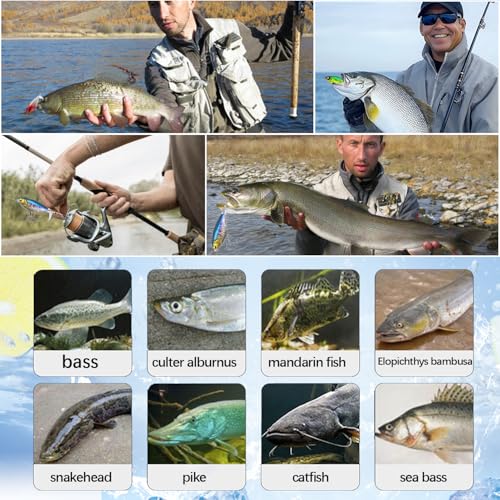 Topwater Fishing Lures for bass Whopper Popper Lures with Rotating Tail for Freshwater or Saltwater bass Catfish Pike Perch Floating Pencil Bass Bait (Variegated, Medium)