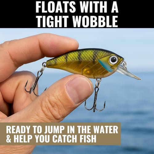 Lunkerhunt Impact Jolt | Crankbait, Deep Diving Hard Bait Fishing Lure | Flat Sided Square Bill, Clear Water, Fresh Water Lure for Bass Fishing, Trout and Spike, Crappie - color: Green Back