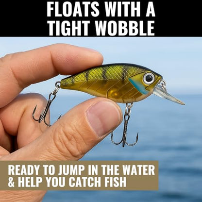 Lunkerhunt Impact Jolt | Crankbait, Deep Diving Hard Bait Fishing Lure | Flat Sided Square Bill, Clear Water, Fresh Water Lure for Bass Fishing, Trout and Spike, Crappie - color: Green Back