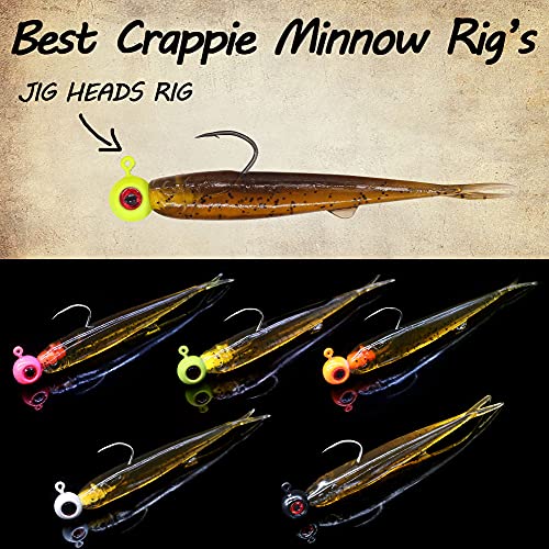 Crappie-Baits- Plastics-Jig-Heads-Kit-Minnow-Fishing-Lures-for Crappie-Panfish-Bluegill-20Piece Kit - 15 Bodies- 5 Crappie Jig Heads - color: #03 Pumpkin PP.Shad