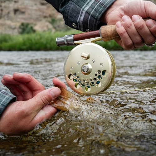 Redington Classic Trout Fly Reel – Lightweight Click-and-Pawl Trout Reel, Large Arbor, CNC Machined Aluminum - color: Black, size: 2/3/4