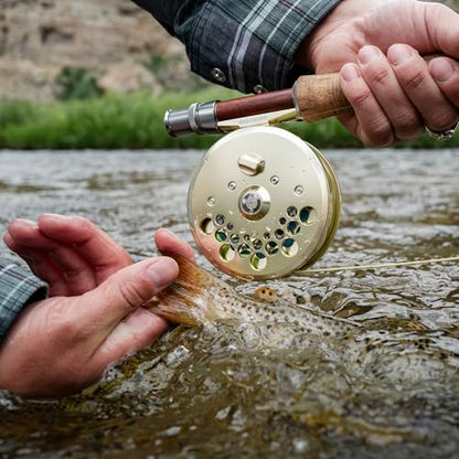Redington Classic Trout Fly Reel (Spool Only) – Lightweight Click-and-Pawl Trout Reel, Large Arbor, CNC Machined Aluminum – 2/3/4 and 4/5/6 Sizes - size: 2/3/4 Spool