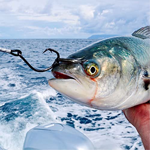 Circle Hooks Saltwater Fishing Hooks in-line Circle Hooks Set Straight Eye High Carbon Steel Octopus Hook for Saltwater Freshwater