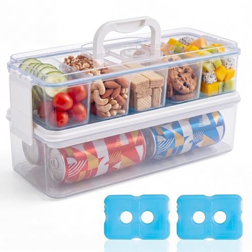 Homelove Snackle Box Container with 2 Plastic Ice Packs, Snack Organizer Divided Serving Tray with Lid and Handle, Double-layer Tray and 5-Compartment Snack Platter for Travel Party Beach Picnic - color: D