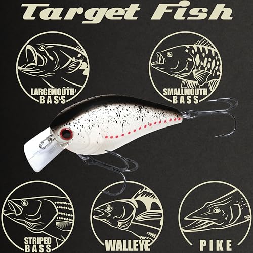 LUCKY CRAFT LC 2.5 Silent Crankbait Fishing Lures, 2-3/8” Squarebill Crankbait, Bass Lures, Floating 4ft Depth Hard Bait, Champion Freshwater Fishing Gear and Tackle Box Accessories - color: 400 White Shad
