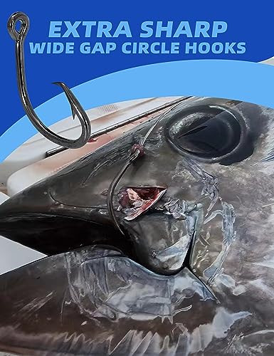 BLUEWING Wide Gap Offset Circle Hook with Big Game Stainless Steel Swivel, Live Bait, Ringed for Freshwater and Saltwater - size: 5/0 - 25pcs