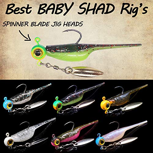 Crappie-Baits- Plastics-Jig-Heads-Kit-Shad-Minnow-Fishing-Lures-for Crappie-Panfish-Bluegill-40 &135 Piece Kit - color: BABY SHAD 40 pc.KIT COMBO 1