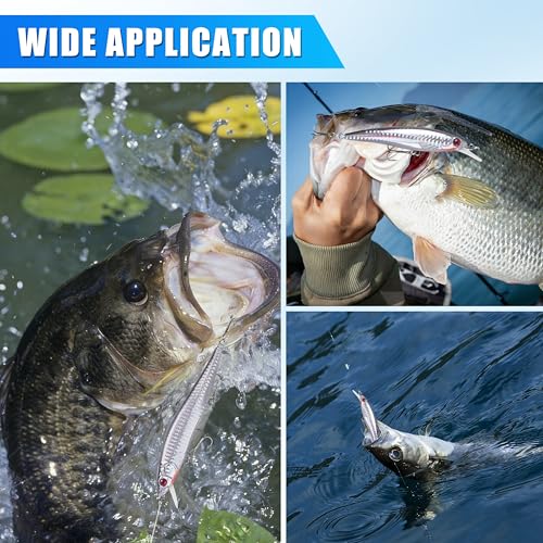 Saltwater Fishing Lures Kit, 6/12pcs Striped Bass Lures Surf Fishing Minnow Lures Deep Diving Jerkbait Popper Plugs Crankbait Fishing Tackle - color: 6PCS