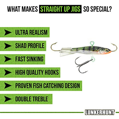 Lunkerhunt Straight Up Jigs for Bass Fishing | Ice Water Fishing Bait | Fast Sinking with Ultra-Sharp Hooks