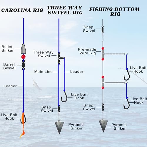 Fishing Hooks Live Bait Hooks Saltwater Circle Hooks Stainless Steel Fishing Hooks 2X Strong Circle Hooks Assist Hooks Bait Fishing Hooks for Ocean Saltwater Freshwater Fishing Size: 1/0-10/0 - size: 30 Pcs, 2/0