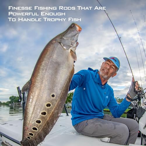 KastKing Kestrel Fishing Rod - IM8 Graphite Blanks, 8 Different Light & Ultralight Casting & Spinning Fishing Rods, 2 & 3 Piece Rods, American Tackle Guides and Custom EVA Handle - size: 7'2"/ML Power/Fast(2pcs), style: Cast