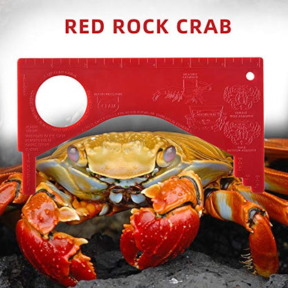 Dungeness Crab Gauge Measure with Ruler Multi Shrimp Clam Measuring Tool for Oregon, Washington and California - style: RD-3