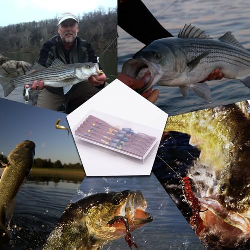 FishTrip Texas Rig Hooks for Bass Fishing, EWG Worm Hooks with Fishing Bullet Weights Sinkers for Freshwater Saltwater 1/8 3/16 1/4 3/8 1/2oz - size: 3/8oz 5Pcs