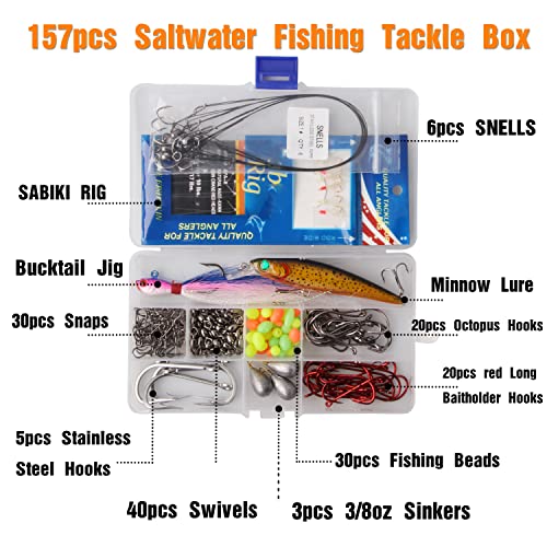 Saltwater Fishing Tackle Kit, Surf Fishing Gear Set Includes Saltwater Lures, Bait Rigs, Swivel, Hooks, Sinkers Weights, Wire Leaders Various Accessories