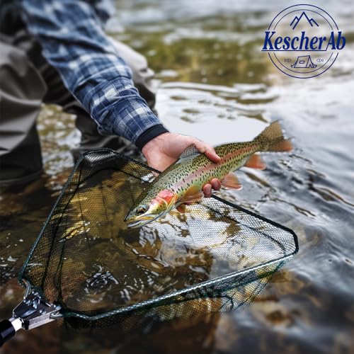 Fishing Net, Fishing Landing Net with Pole Handle, Collapsible Telescopic Fishing Gear Net, Extends to 21-51Inches Landing Net, Fishing Net, Butterfly Nets for Kids Women Men - style: 51" Full Extended（extended Handle）