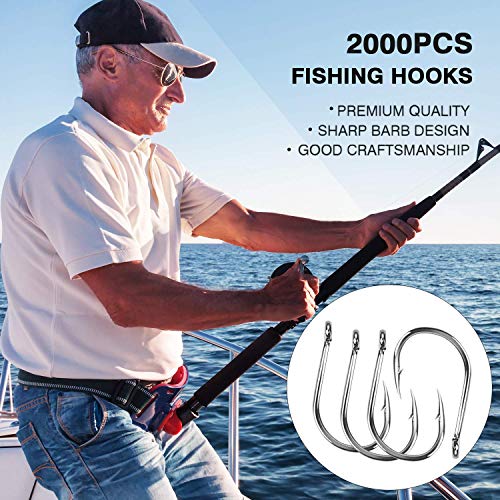 HETH 2000pcs Fishing Worm Hooks High Carbon Steel Wide Gap Offset Fishing Hook Set for Saltwater and Freshwater with 10 Sizes