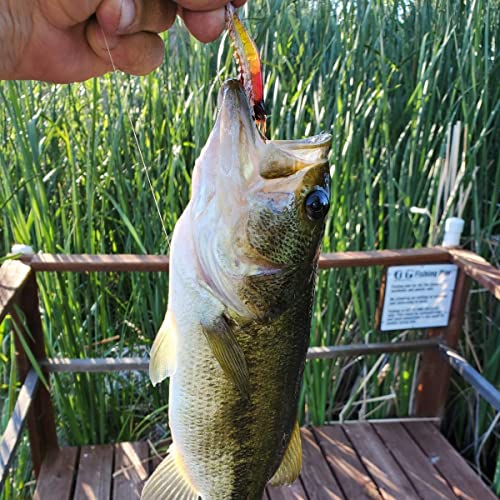 Goture Soft Shrimp Lures Fishing Saltwater Luminous Shrimp Bait Set Fishing Lures with Sharp Hooks for Freshwater Saltwater Trout Bass Salmon Crappie Walleye Pike Perch - color: B:12pcs Shrimp Lures-3.54in/0.21oz