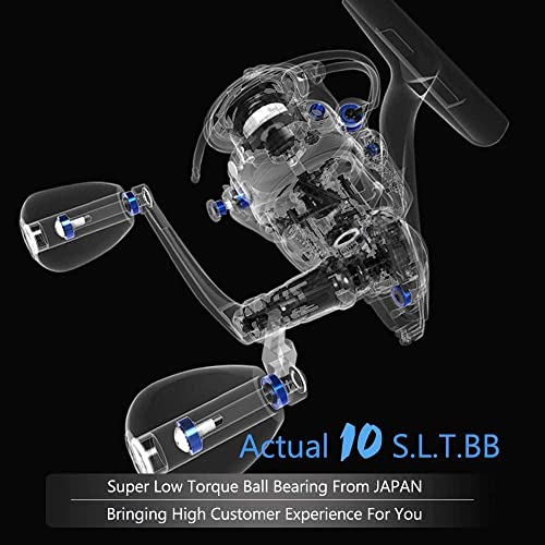 Cadence CS6 CS7 CS8 Spinning Reel, Ultralight Fast Speed Premium Magnesium Frame Fishing Reel with 10 Low Torque Bearings Super Smooth Powerful Fishing Reel with 36 LBs Max Drag & 6.2:1 Spinning Reel - style: Cs8-2000